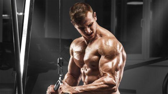 HGH Evogene 100 IU im Bodybuilding HGH Evogene 100 IU im Bodybuilding